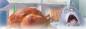 MLA secret life of pets image-movie night 3-10-17 MLA secret life of pets image-movie night 3-10-17